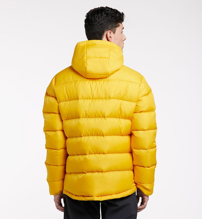 Haglöfs Mens Bield Down Jacket Yellow New Zealand 14697IPAG